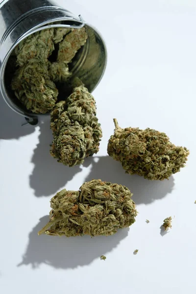 Száraz Kannabisz Marihuána Egy Fehér Hátterű Vödörben Nagy Kenderbimbók Egy — Stock Fotó