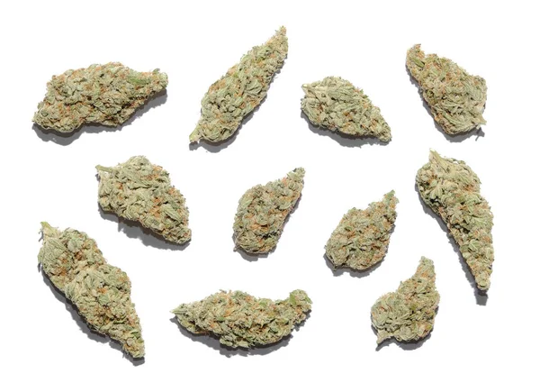 大麻芽特写 药用大麻在白色背景上开花 大麻的娱乐 医疗用途 合法化 — 图库照片