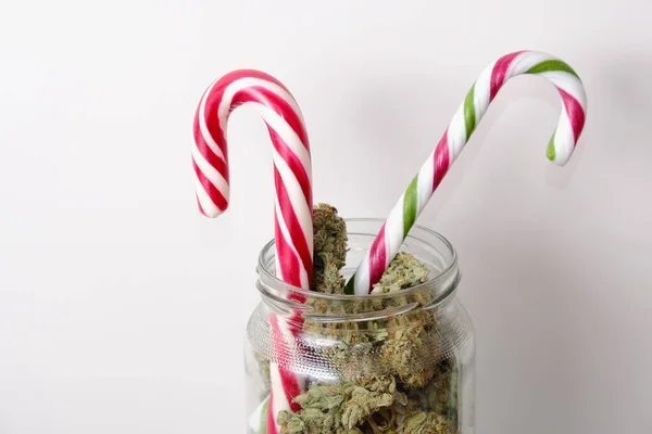 Kurutulmuş kenevir çiçekleri. Beyaz arka planda esrar tomurcukları ve Noel lolipopları. Marihuana kavanozda çiçek açar. Mikro doz kavramı.