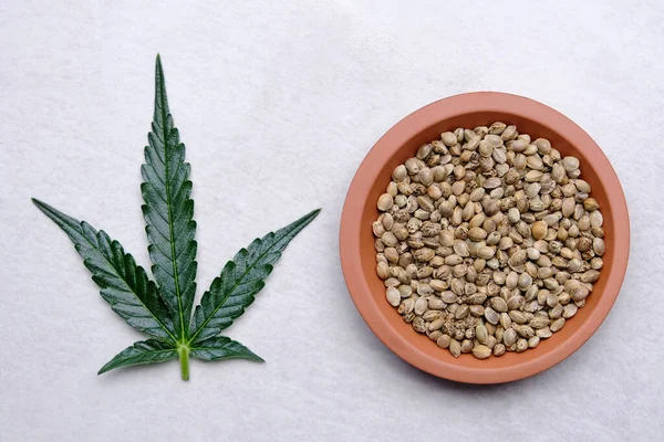 Bunch Cannabis Seeds Plate Green Leaf Hemp Grain Grey Background — Foto de Stock