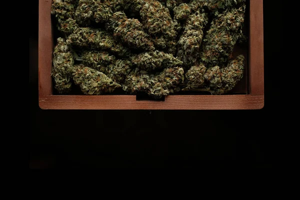 Marijuana Cbd Buds Close Medicinal Cannabis Flowering Background Weed Blooms — Stock Photo, Image