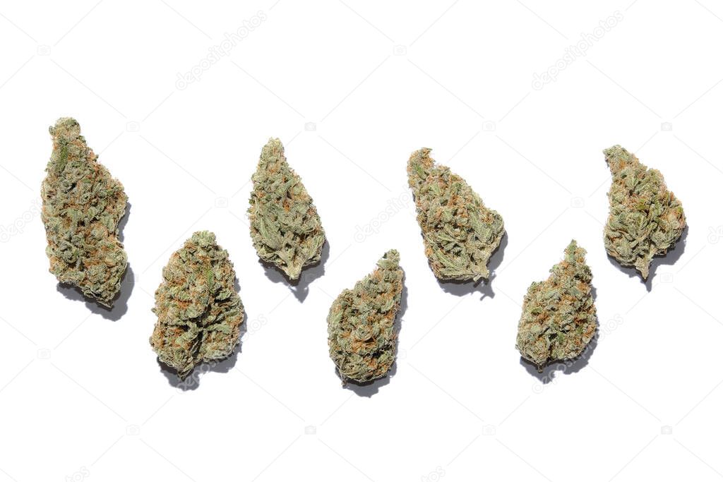 Marijuana buds closeup. Medicinal cannabis flowering on white background, isolated. Hemp recreation, medical usage, legalization. 