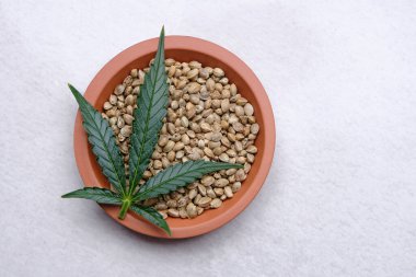 A bunch of cannabis seeds on a plate with green leaf. Hemp grain on grey background, flat lay. Marijuana grain, top view.