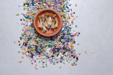 Beyaz arka planda psikedelik psilosibin mantarları, mikro doz konsepti. Kuru psilosibe mantarları, Altın Öğretmen, üst manzara. Renkli yerleşim.