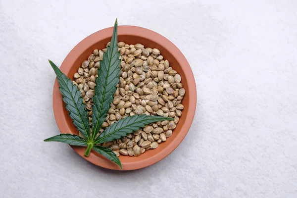Bunch Cannabis Seeds Plate Green Leaf Hemp Grain Grey Background — Foto de Stock