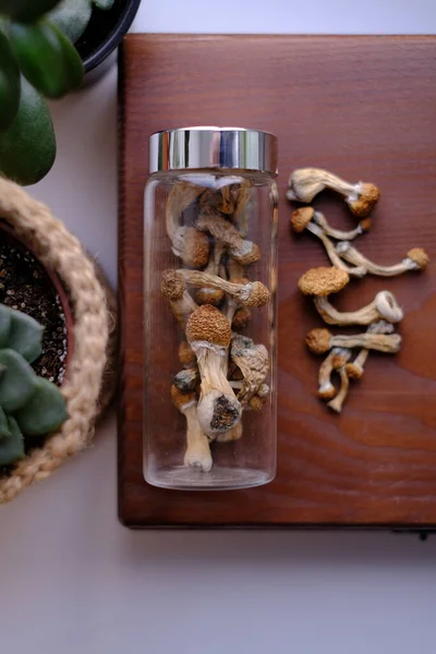 Dry Psilocybe Cubensis Mushrooms Glass Jar Wooden Board Surrounded Indoor - Stok İmaj