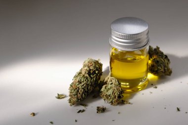 Kuru kenevir tomurcuklu CBD yağı. Marihuana özü.