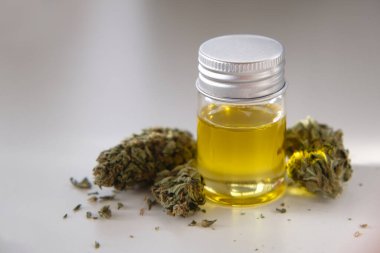 Kuru kenevir tomurcuklu CBD yağı. Marihuana özü.