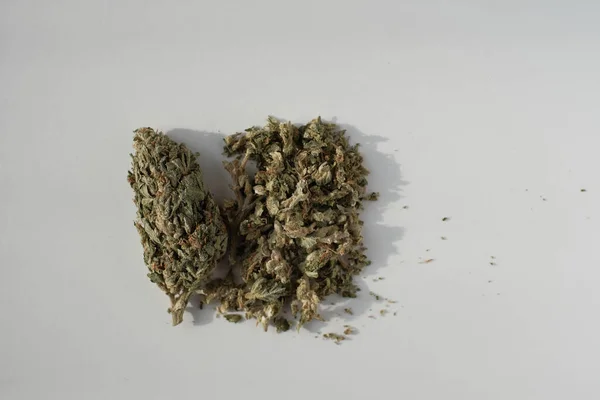 Bud Cannabis Com Cone Maconha Medicinal Esmagado Fundo Branco — Fotografia de Stock