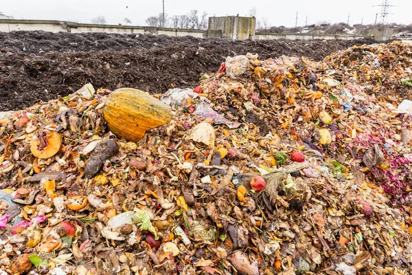 Grande Quantidade Frutas Legumes Podres Estação Triagem Reciclagem Compostagem Coleta — Fotografia de Stock