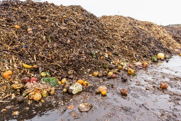 Large heap of rotten fruits and vegetables at compost sorting and recycling station. Separate organic waste collection and compost