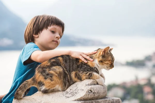 Child Petting Cat Sitting Stone Wall Ancient Fortress Ivan Old — Stock fotografie