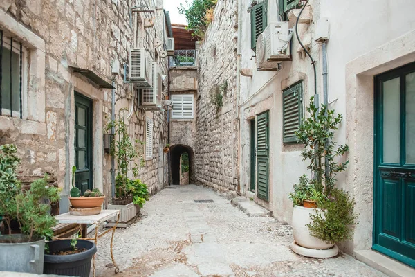 Ruelle Étroite Dans Vieille Ville Dubrovnik Avec Verdure Dans Les — Photo