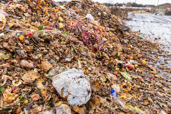 Saco Plástico Entre Montes Resíduos Orgânicos Estação Triagem Reciclagem Compostagem — Fotografia de Stock