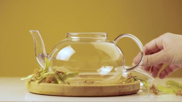 把Linden或Tilia茶放在透明的茶壶里 — 图库视频影像