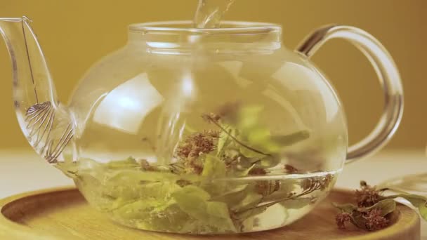 Pouring Hot Water Teapot Linden Tea — Stock Video