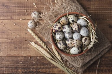 Ahşap bir arka plan üzerinde taze bıldırcın yumurtası