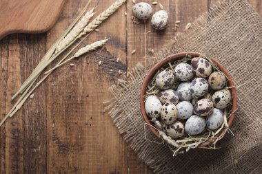 Ahşap bir arka plan üzerinde taze bıldırcın yumurtası