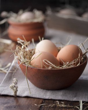 Taze Organik Çiğ Yumurtalar
