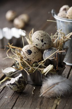 Ahşap bir arka plan üzerinde taze bıldırcın yumurtası