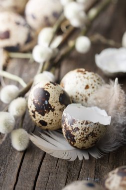 Ahşap bir arka plan üzerinde taze bıldırcın yumurtası