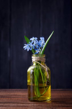 Siyah arkaplanda kar damlaları