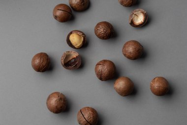 Gri arka planda Macadamia fındıkları
