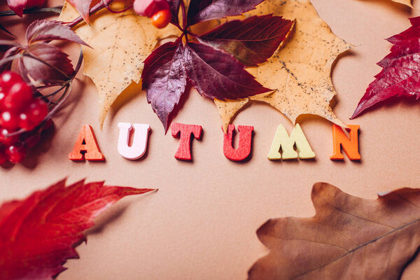 Осень написания слова организованы осенние листья и красные ягоды. Сезонное цветочное украшение осенью. Цветные деревянные буквы