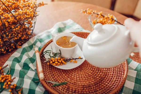 Жінка п'є чай з ягодами обліпихи в чашці з чайника. Здоровий гарячий напій для холодної осені та зимових днів — стокове фото
