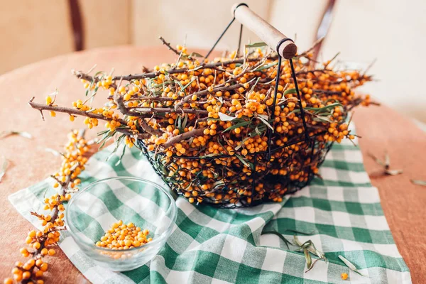 Duindoornbessen geoogst in mand. Gezonde herfst gele oogst van fruit — Stockfoto