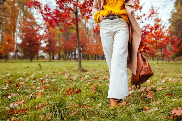 Modna Kobieta Stylowych Ubraniach Akcesoriach Spacerujących Jesiennym Parku Jesienny Strój — Zdjęcie stockowe