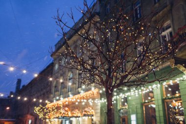 Noel ışıklarıyla kaplı ağaç yağan karın altında gece parlıyor. Lviv 'de yeni yıl sokak dekorasyonu. Kış tatili