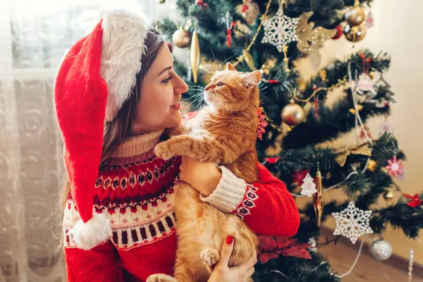 Celebración de Navidad con gato. Mujer jugando y abrazando mascota en el sombrero de Santas por árbol de Año Nuevo en casa. — Foto de Stock