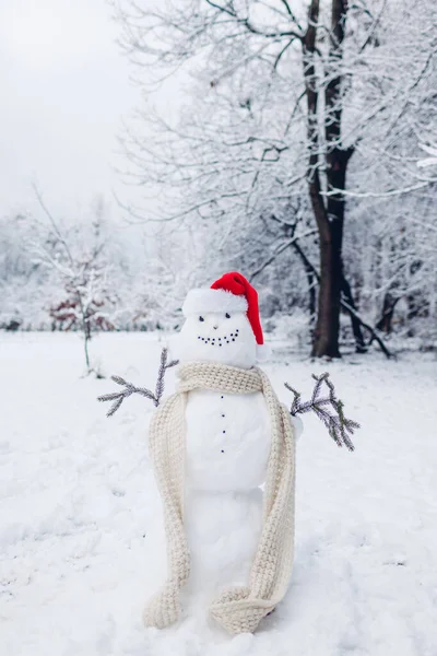 Happy Sneeuwman Buiten Gemaakt Besneeuwde Winterpark Gekleed Santa Hoed Sjaal — Stockfoto