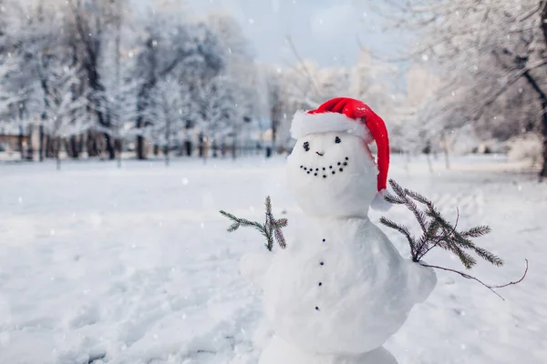 Karlı kış parkında Noel Baba şapkası takan mutlu bir kardan adam. Kış aktiviteleri. Boşluk