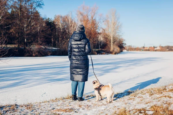 Frau Spaziert Mit Hund Verschneiten Winterpark Zugefrorenen See Und Hält — Stockfoto