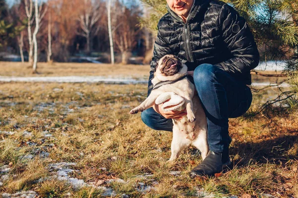 Mann Spaziert Mops Hund Verschneiten Winterpark Herrchen Spielt Mit Haustier — Stockfoto