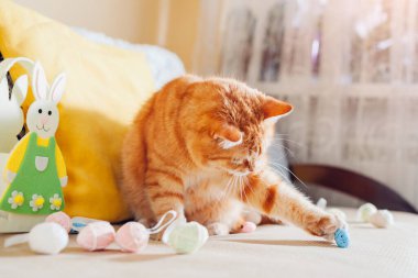 Kızıl kedi evde paskalya yumurtalarıyla oynuyor. Paskalya tavşanının yanındaki kanepede evcil hayvan eğleniyor. Bahar bayramı sembolü. Hayvan dekorasyonu için yardım