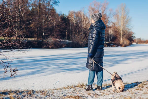 Frau Spaziert Mit Hund Verschneiten Winterpark Zugefrorenen See Und Hält — Stockfoto