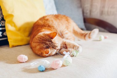 Kızıl kedi evde paskalya yumurtalarıyla oynuyor. Evcil hayvan kanepede eğleniyor. Bahar bayramı sembolü. Tuhaf, meraklı hayvan dinleniyor.