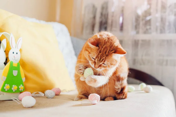 Ginger cat playing with Easter eggs at home. Pet having fun on couch by Easter bunny. Spring holiday symbol. Animal helping with decoration