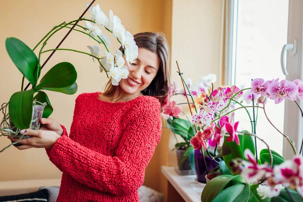 Щаслива жінка пахне квітучою білою орхідеєю, що тримає горщик. Дівчина садівник доглядає за домашніми рослинами і квітами . — стокове фото