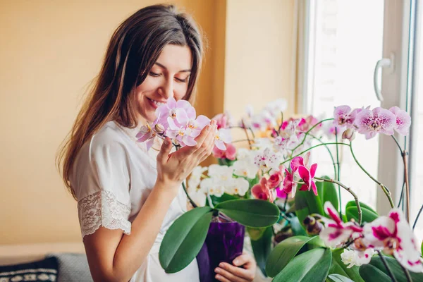 Glückliche Frau, die blühende lila Orchidee riecht, die Topf hält. Gärtnerin kümmert sich um heimische Pflanzen und Blumen. — Stockfoto