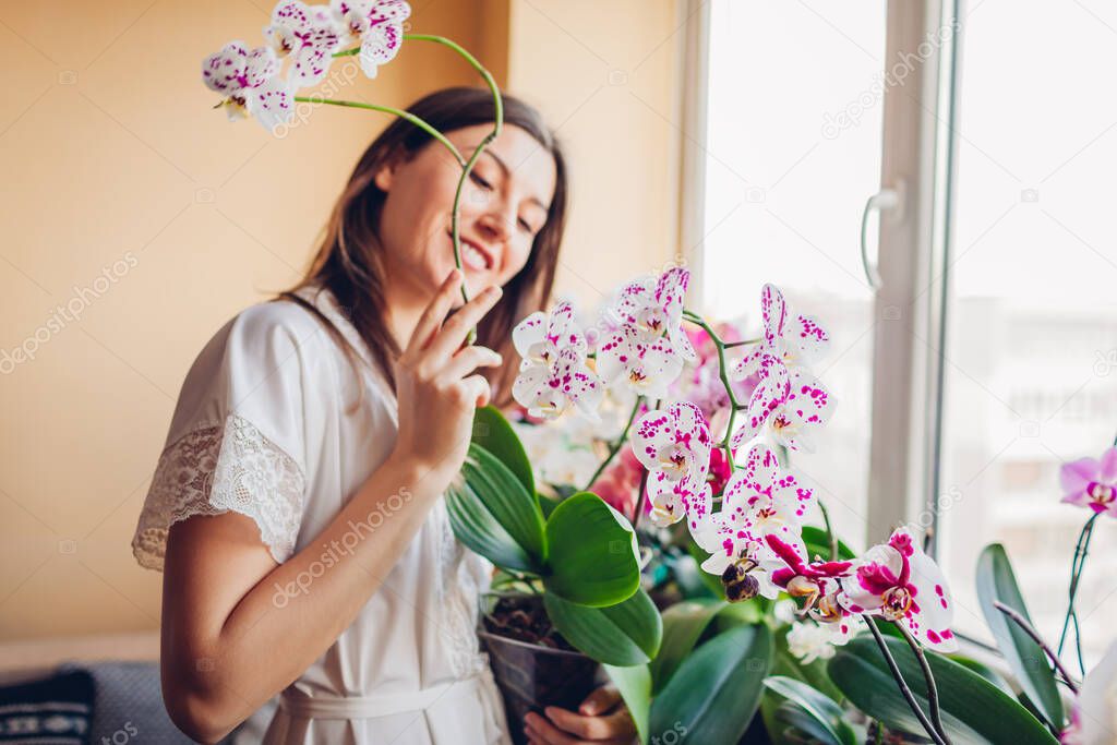 Happy woman enjoys blooming white phalaenopsis orchid holding pot. Young girl gardener taking care of home plants and flowers enjoying hobby.