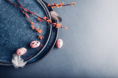 Paskalya dekoru. Tabakları yumurta, tüy ve bahar dallarıyla kapatın. Gri arkaplanda seramik plakalar. Boşluk