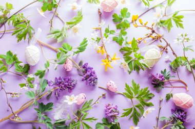 Paskalya geçmişi. Bahar çiçekli yumurtalar mor arka planda beyaz sarı çiçekler. Tatil dokusu.