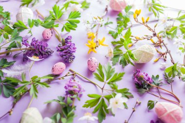 Paskalya çiçekleri. Bahar çiçekli yumurtalar mor arka planda beyaz sarı çiçekler. Sembolik tatil dokusu. Üst görünüm