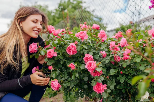 Mujer Disfrutando Leonardo Vinci Rosa Flores Jardín Verano Feliz Jardinero — Foto de Stock