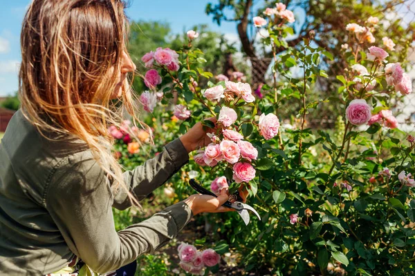 Young Gardener Enjoys Blooming Roses Flowers Sunny Summer Garden Woman — Foto de Stock