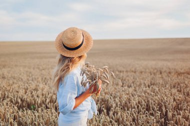 Back view of young woman walking in summer field wearing straw hat and linen shirt holding wheat bundle. Harvest time. Farmer checking autumn crop